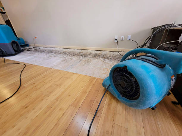 Professional Structural Drying technician working in Thurston, OH